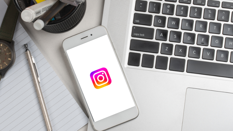 Domine o Instagram: Seja a Maior Referência do Seu Nicho